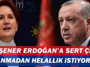 Akşener'den Erdoğan'a 'helallik' tepkisi