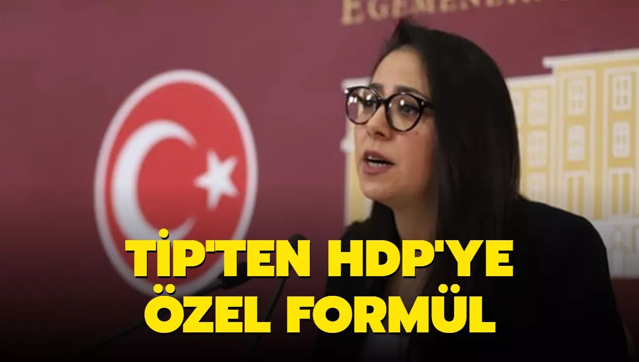 TİP, HDP'ye seçimde oy kaybettirmemek için kolları sıvadı