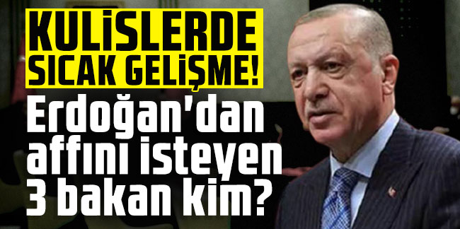 Erdoğan'dan affını isteyen 3 bakan kim?