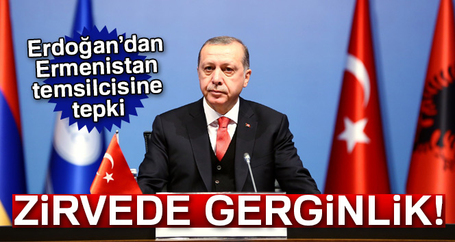Erdoğan'dan Ermenistan temsilcisine tepki
