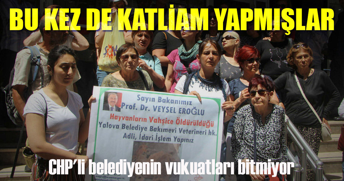 CHP’li belediyeye barınakta katliam cezası