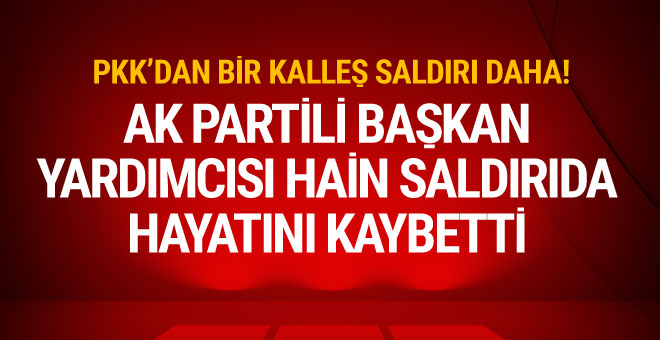 AK Parti İlçe Başkan Yardımcısı Aydın Ahi öldürüldü