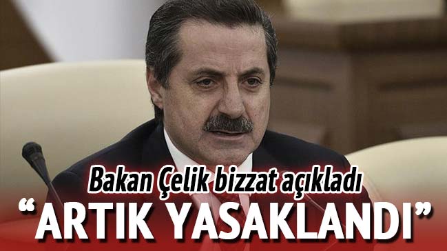 Bakan Çelik açıkladı: