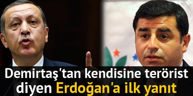 Demirtaş'tan kendisine 'terörist' diyen Erdoğan'a yanıt