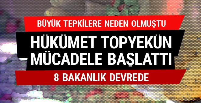 Başbakan talimat verdi! 8 bakanlık devreye girdi