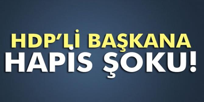 Hdp İlçe Başkanına 6 Yıl Hapis