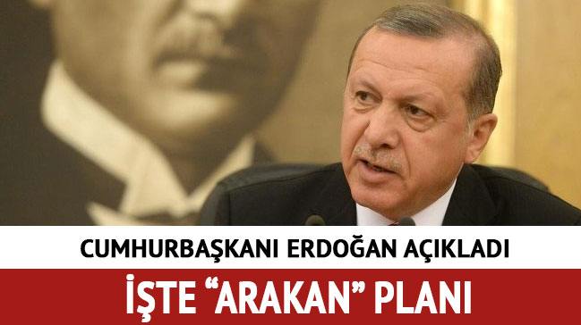 Cumhurbaşkanı Erdoğan'dan 'Arakan' açıklaması