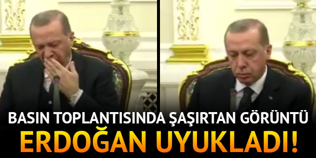 Cumhurbaşkanı Erdoğan basın toplantısında uyukladı