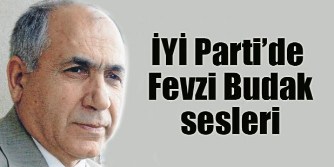 İYİ Parti'de Fevzi Budak sesleri