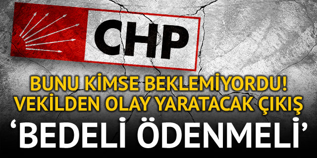 CHP İzmir Milletvekili Mehmet Ali Çelebi: Seçimde halk bilgisiz kaldı, bedeli ödenmeli
