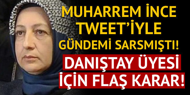 Muharrem İnce'yi eleştiren tweet atan Danıştay üyesi Aysel Demirel için karar verildi