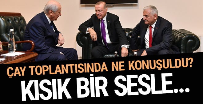 Erdoğan ve Bahçeli çay toplantısında ne konuştu? Abdulkadir Selvi açıkladı